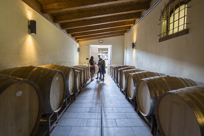 Barolo Wine Tour - An Authentic Taste of Piedmont: The Barolo Wine Tour