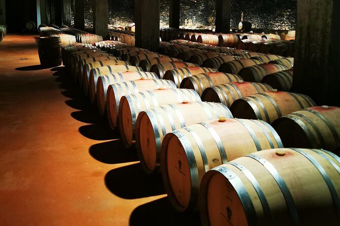 Barolo&Barbaresco wine tour with a local winemaker - Key Points