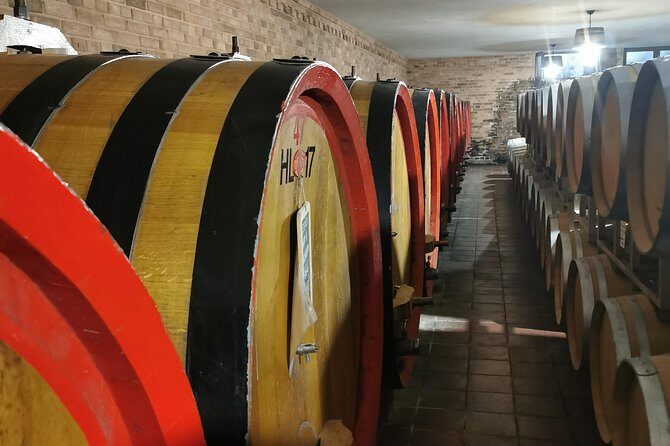 Barolo&Barbaresco wine tour with a local winemaker - Why This Tour Excels