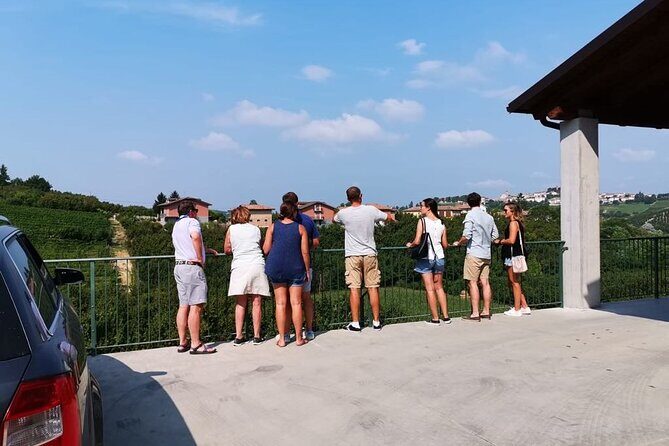 Barolo&Barbaresco wine tour with a local winemaker from Alba - Discovering Piemonte’s Wine World: A Deep Dive