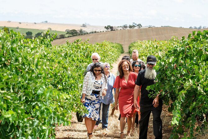 Barossa 4 Hours Wine Experience and Vineyard Walk with Lunch - Who Should Consider This Tour?