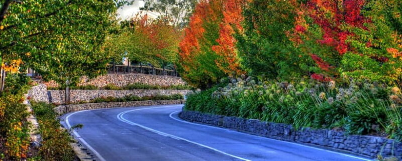 Barossa and Hahndorf Hill Tour - Authenticity and Comfort