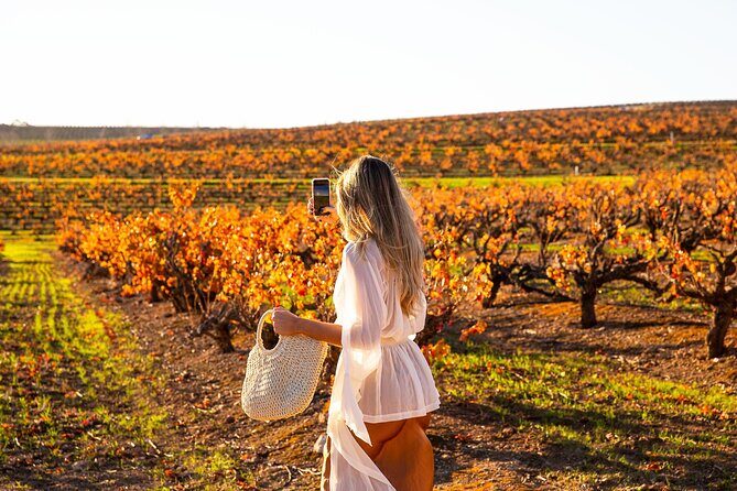 Barossa Small Group Wine Tours with Wine Tasting and Lunch - The Practicalities: What You Need to Know