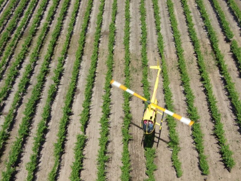 Barossa Valley: 10-Minute Scenic Helicopter Flight - An In-Depth Look at the Helicopter Adventure in the Barossa Valley