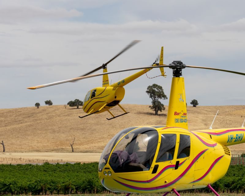 Barossa Valley: 30 Minute Scenic Helicopter Flight - Summing Up: Who Will Love This Experience?