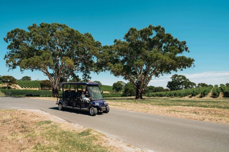 Barossa Valley: EcoVine Explorer - e-cart vineyard tour - Final thoughts