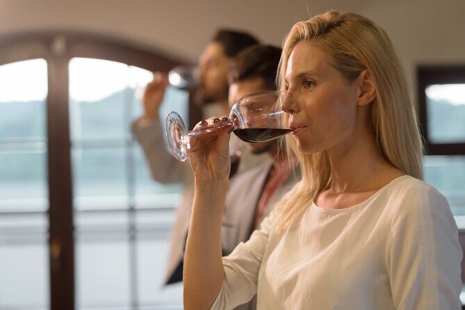 Barossa Valley Gin and Wine Tour - Who Will Love This Tour?