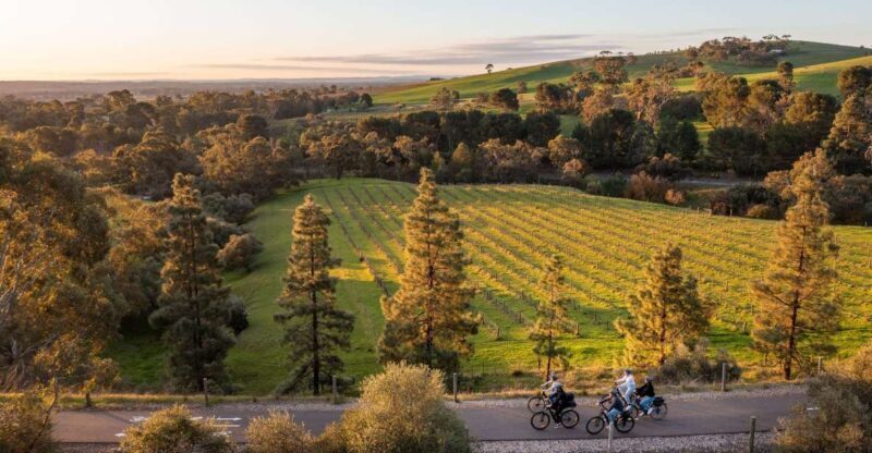 Barossa Valley: Gourmet Food and Wine E-Bike Tour - An In-Depth Look at the Barossa Valley Gourmet Food and Wine E-Bike Tour