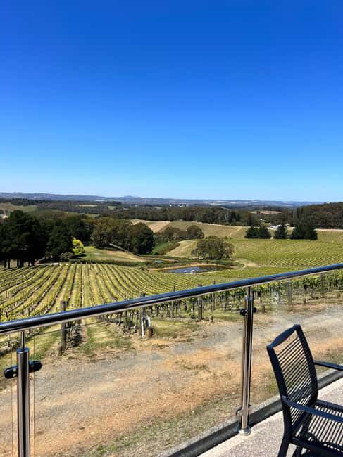 Barossa Valley: Gourmet Food & Wine Tour with Cheese Tasting - Who Would Love This Tour?
