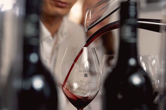 Barossa Valley Scenic Helicopter Flight & Private Wine Tour - Why the Experience is Worth the Price