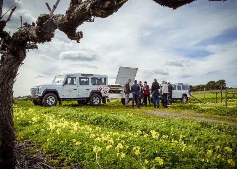Barossa Valley: Two Hands Flagship Vineyard Experience - Discover the Heart of South Australia: The Two Hands Flagship Vineyard Experience