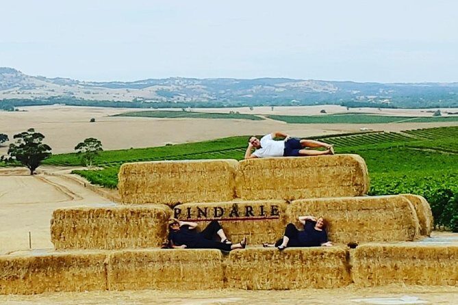 Barossa Wine Tasting shared tours - The Sum Up