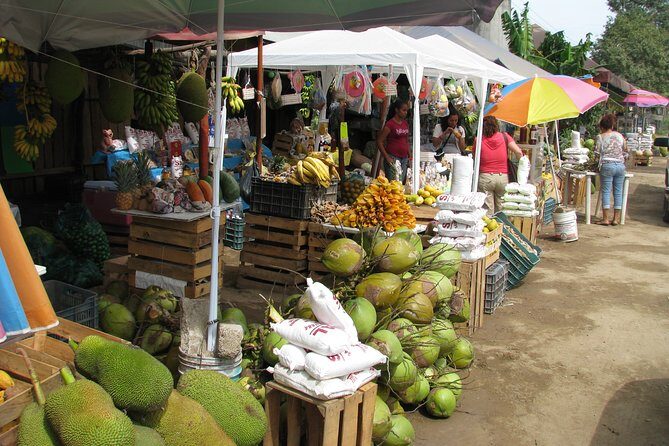 barra de navidad and plantations - Key Points