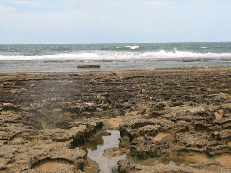 Barra do Cunhaú Full-Day Trip from Natal - Deep Dive into the Experience