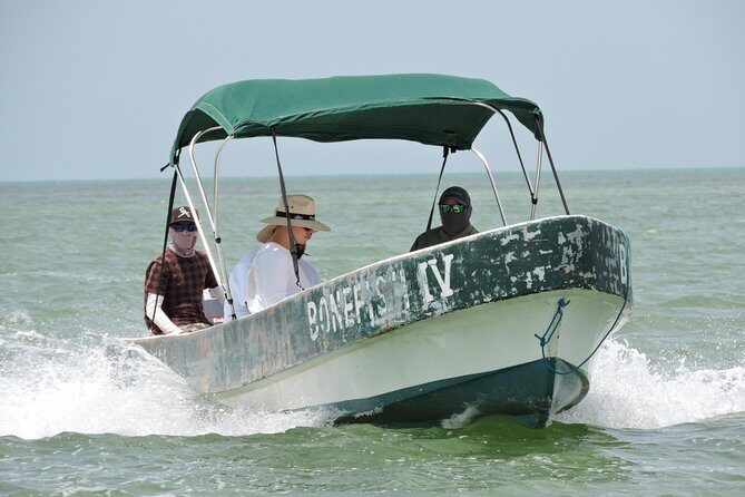 Barracuda Fishing Day Cancun - The Itinerary: What to Expect on Your Barracuda Fishing Day