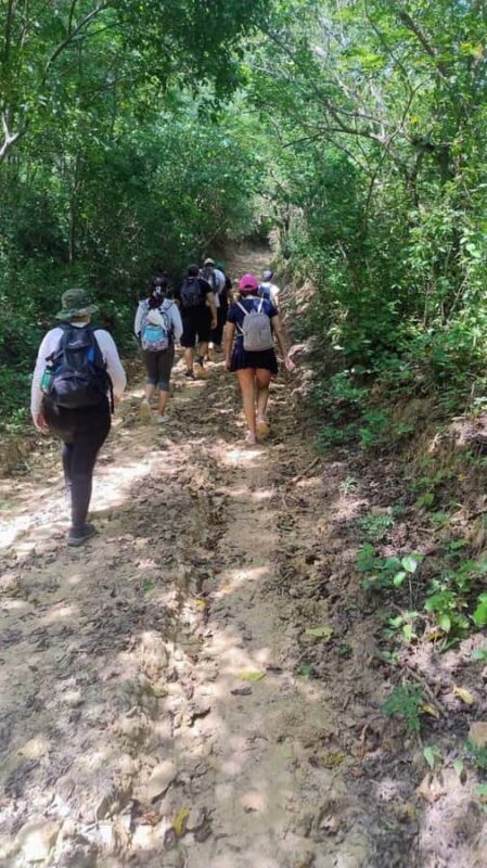 Barranquilla: Hike in the low obstion-juaruco forest - How This Experience Stands Out
