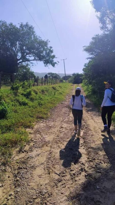 Barranquilla: Hike in the low obstion-juaruco forest - Who Will Love This Tour?