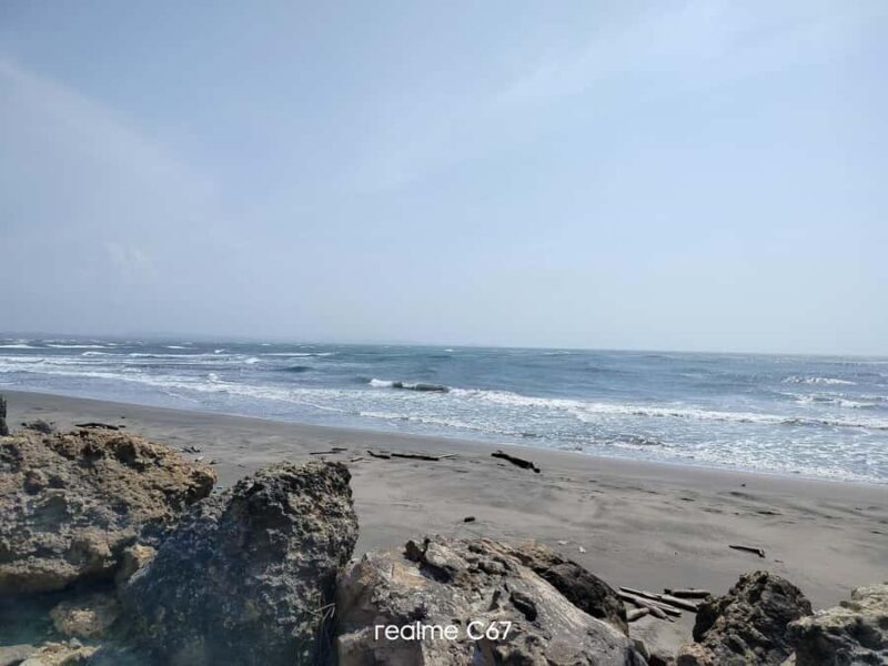 Barranquilla: Magdalena River and Bocas de Cenizas Tour - What Sets This Tour Apart?