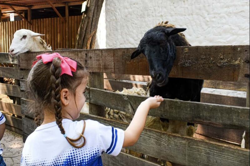 Barranquilla Zoo Access Ticket - The Sum Up