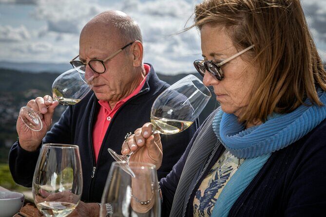 Barrel Tasting - Quinta de Santa Cristina Vinho Verde - The Sum Up