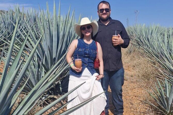 Barrel Tequila Tour Explore Tequila's Culture and Traditions - Practical Tips for Future Travelers