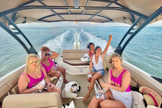 Barrier Island, Shelling and Dolphin Tour in St Petersburg, Fl - Exploring the Barrier Island, Shelling, and Dolphin Tour in St. Petersburg