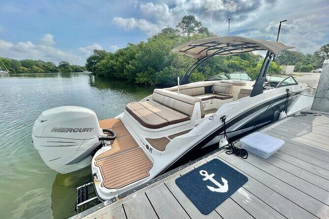 Barrier Island, Shelling and Dolphin Tour in St Petersburg, Fl - Practical Considerations