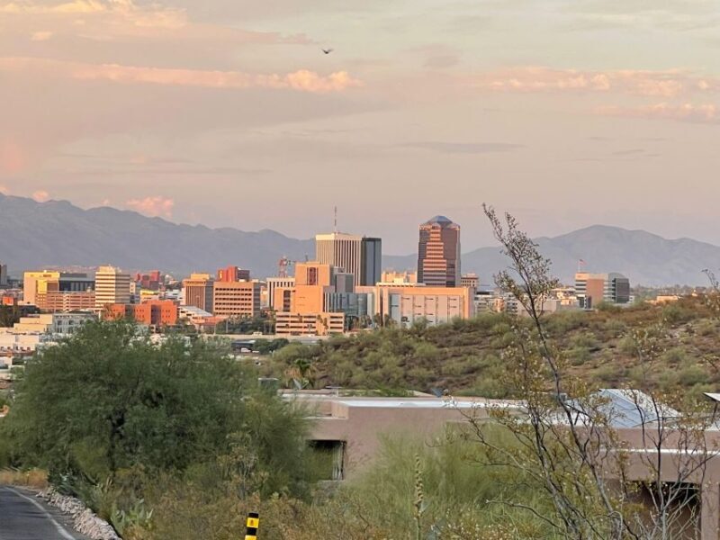 Barrio Viejo Tucson Walking Tour & Scott Avenue with Guide - Final Thoughts