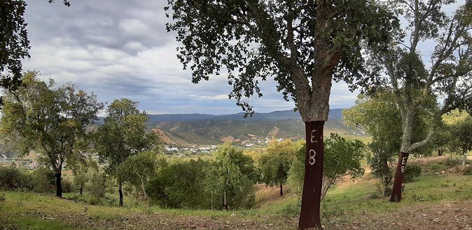 Barrocal Adventure - 4 hours - The Sum Up