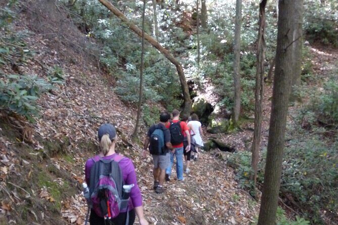 Bartram Trail Hike plus Wine Tasting - The Itinerary: From Mountain Trails to Vineyard Serenity