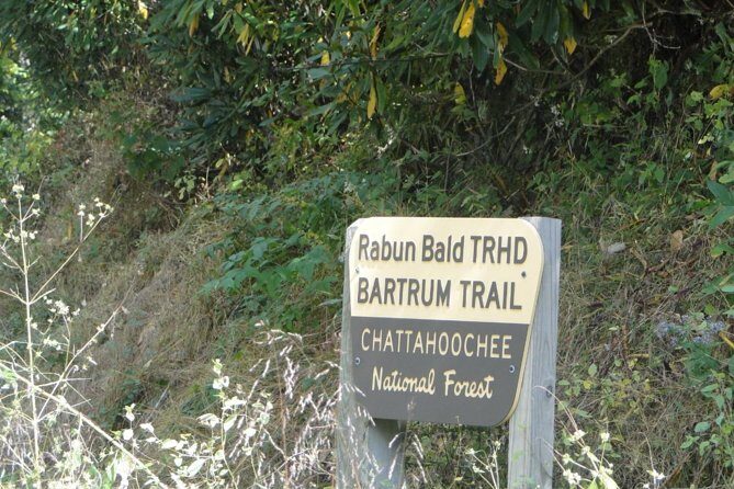 Bartram Trail Hike plus Wine Tasting - What Makes This Tour Stand Out