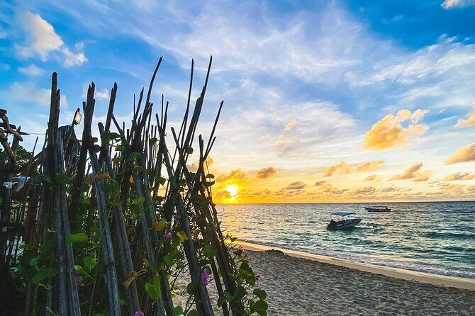 Baru and Playa Blanca Full Day - Who Is This Tour Best For?