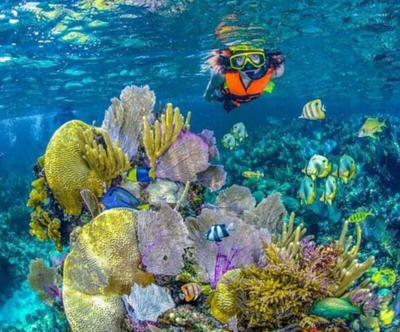 Barú: Club Freedom Beach with Mangrove and Snorkel - FAQ