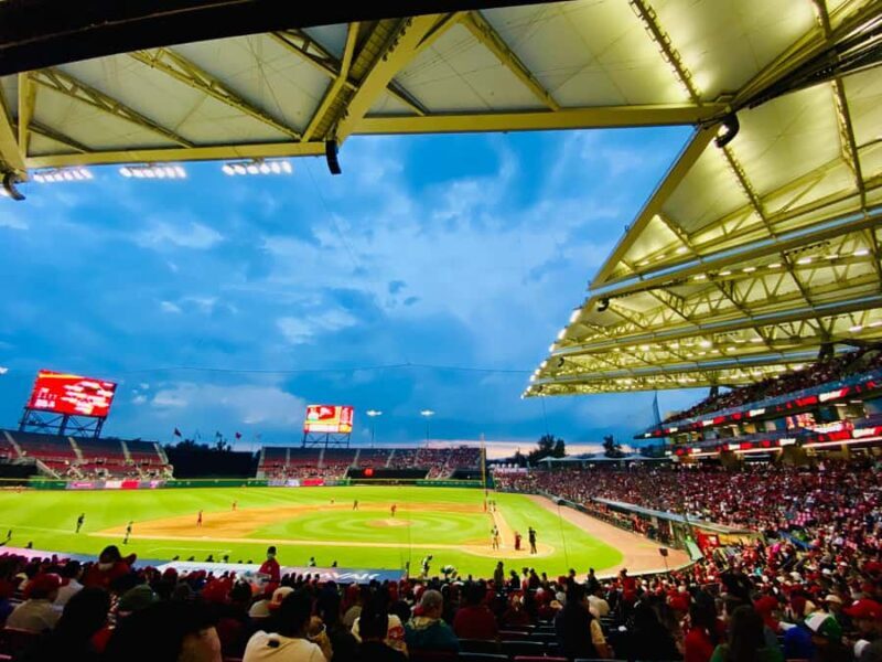 Baseball Game Day Experience in Mexico City - Diablos Rojos - Final Thoughts: Is This Tour Worth It?
