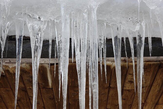 Baseball Professional  Yomiuri Giants - Practical Tips for Travelers