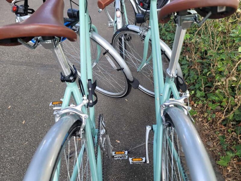 Basel: 3-Country Guided Bike Tour - The Original - Summary: Why choose this tour?