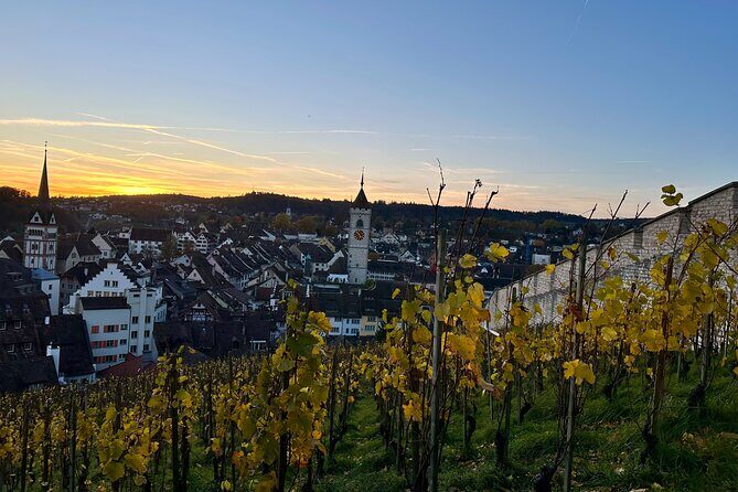 Basel Private Tour: Stein Am Rhein, Schaffhausen and Rhine Cruise - Returning to Basel
