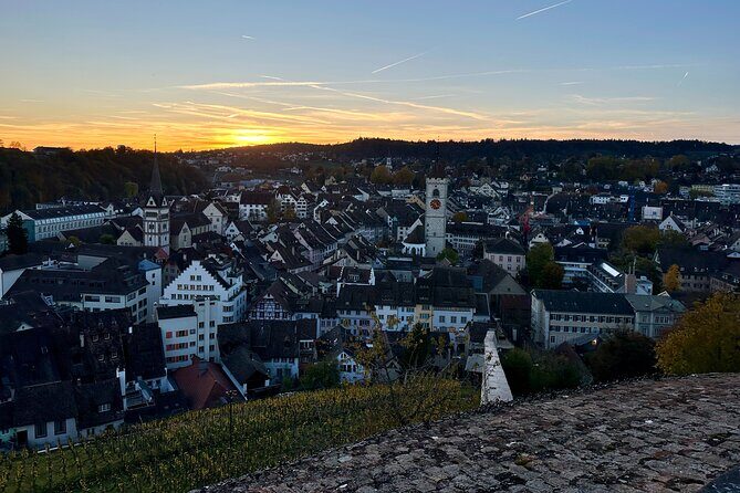Basel Private Tour: Stein Am Rhein, Schaffhausen and Rhine Cruise - Frequently Asked Questions