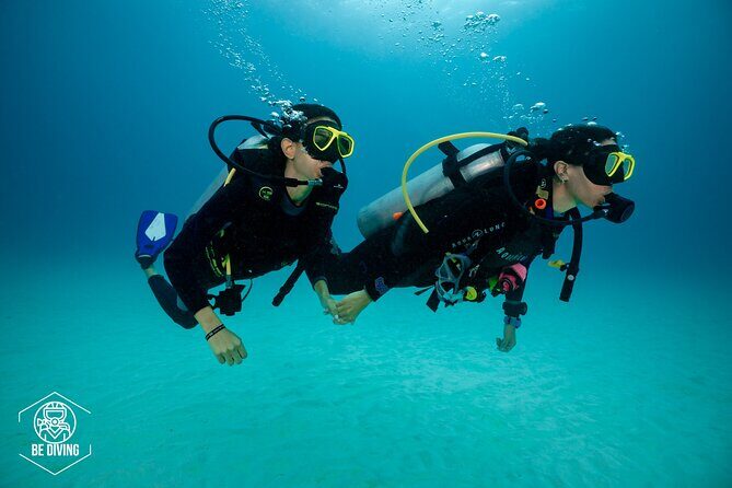 Basic Diver - Bautismo - FAQ: Your Questions Answered