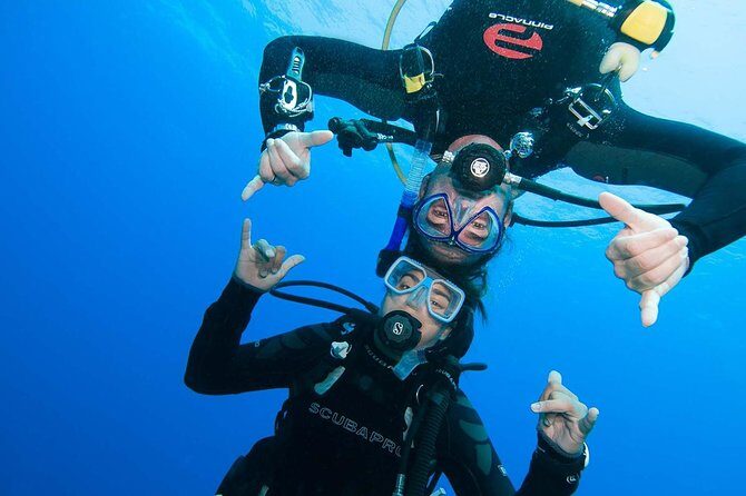 Basic Diver course for beginners with 1 dive in the Ocean - A Beginners Guide to Underwater Adventures in Tenerife