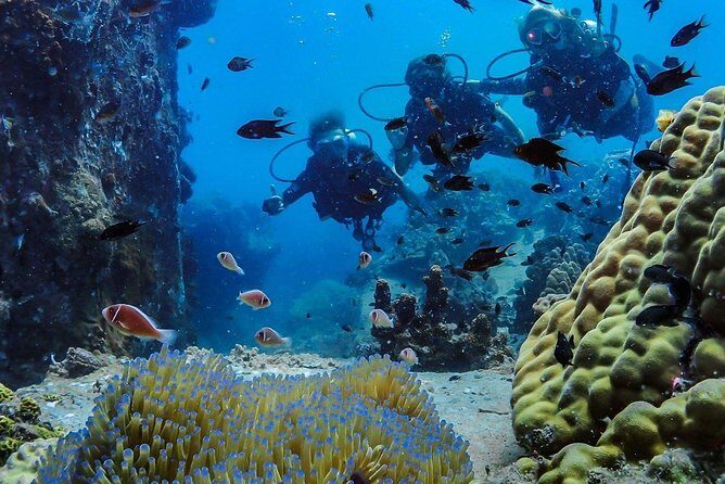 Basic Diver ( One Day Experience) - Final Thoughts: Is This Tour Right for You?