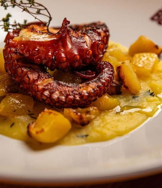 Basic fish tasting menu at the Signora Bettola restaurant - Frequently Asked Questions