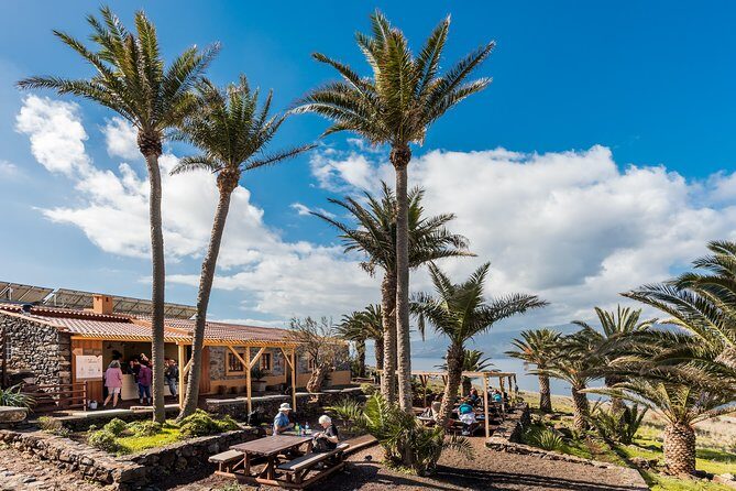 Basic Tour 2 - Quinta do Lorde to Cais do Sardinha and return - Who Should Consider This Tour