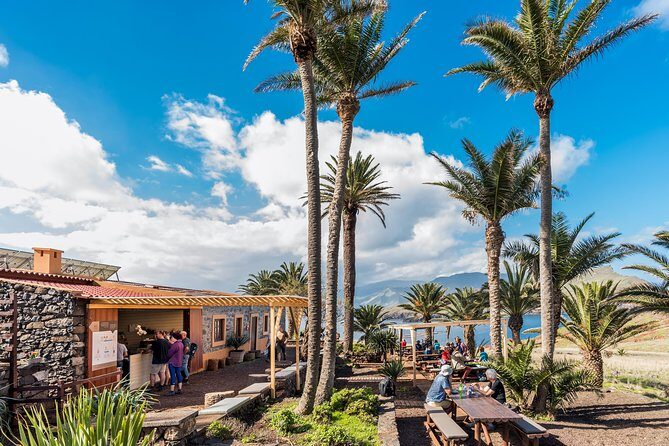 Basic Tour 2 - Quinta do Lorde to Cais do Sardinha and return - The Sum Up: Is This Tour Worth Your Time?