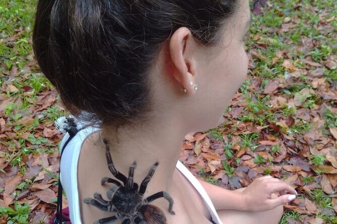 Basic Tour to Tikal Includes Transportation and Guide Service - Exploring Tikal: A Guided Tour from Flores