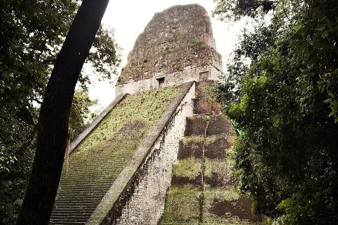 Basic Tour to Tikal Includes Transportation and Guide Service - Key Points