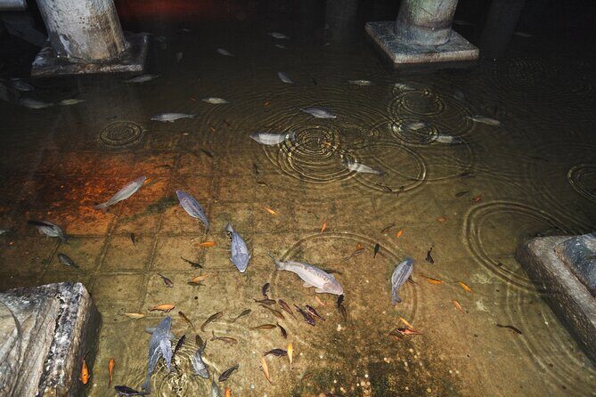 Basilica Cistern Small Group, Live Guide. w/Skip-the-Line Ticket - A Deep Dive into the Basilica Cistern Tour