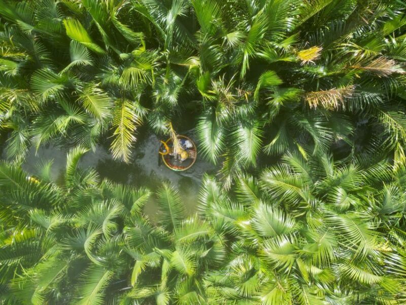 Basket Boat at Coconut Village, Kitchen Show and Big Lunch - A Practical, Authentic Day in Central Vietnam: Basket Boat, Cooking, and Local Flavors