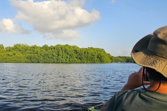 Basking in Nature during a Caroni Bird Sancturary Tour - Basking in Nature during a Caroni Bird Sanctuary Tour