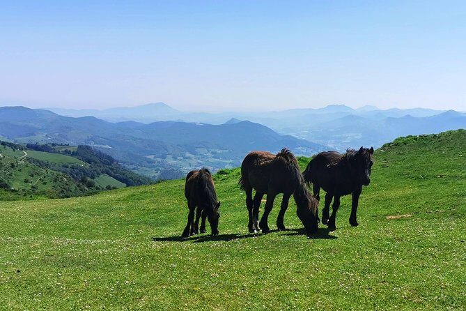 Basque MOUNTAINS, OCEAN & SANCTUARY of LOYOLA - Private Cultural Adventure - FAQ